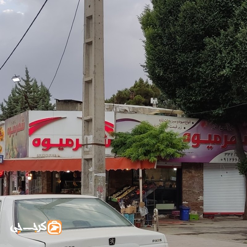 شهر میوه