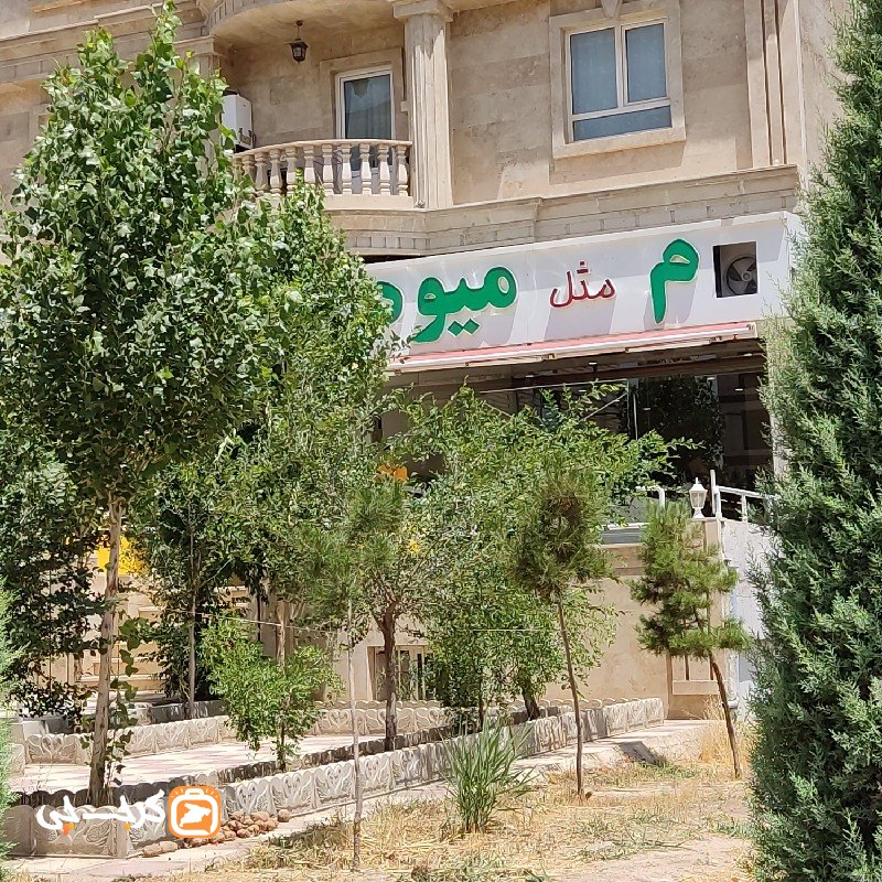 م مثل میوه