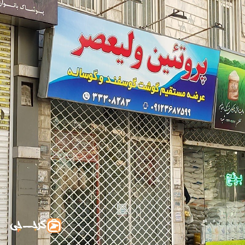 پروتئین ولیعصر