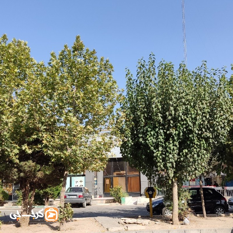 بازار میوه و‌تره بار کیانمهر