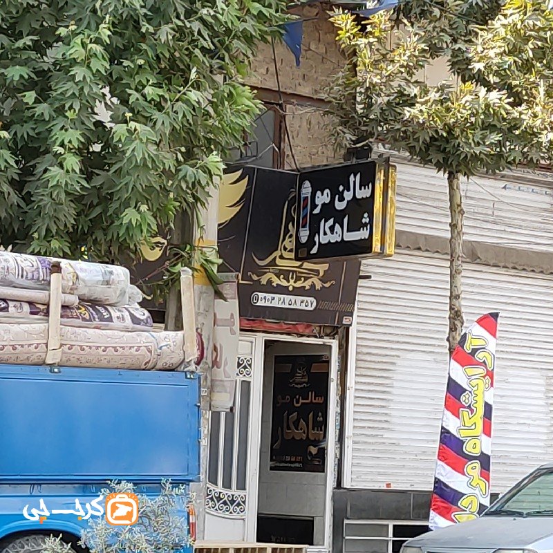 سالن مو شاهکار