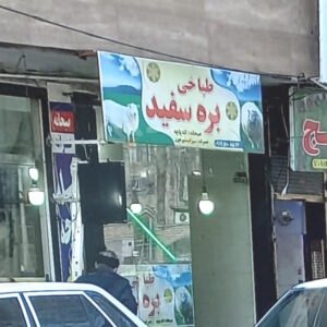 طباخی بره سفید مصباح