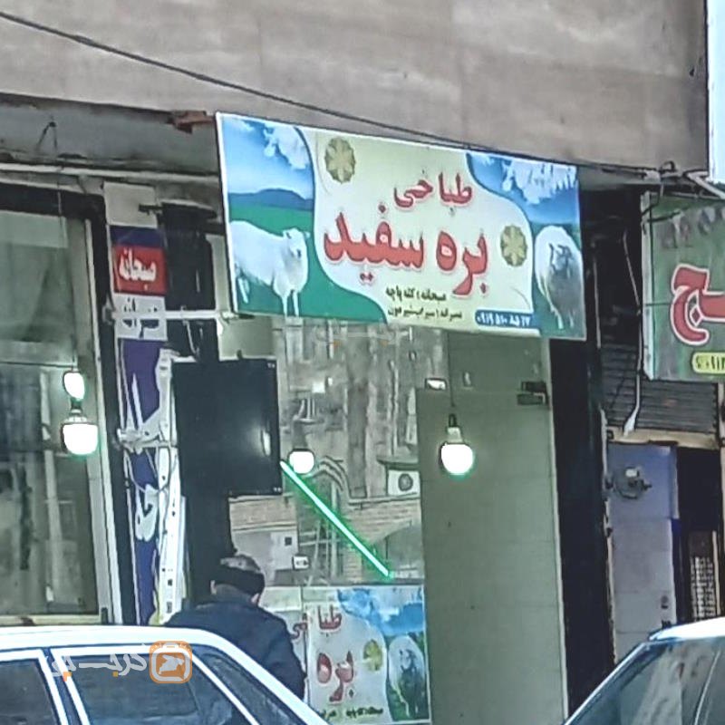 طباخی بره سفید مصباح