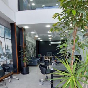 املاک ایران ملک ساماندهی